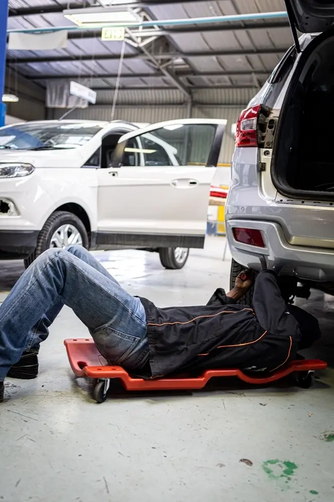 View of 14 Tips & Ideas for Eco Friendly & Zero Waste Apartment Living - TRVST